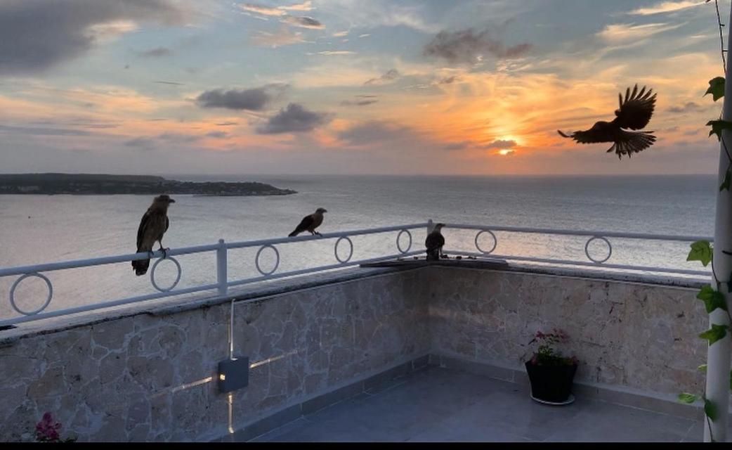 Penthouse 360 Cartagena Lägenhet Exteriör bild